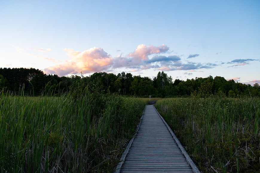 Wooden boardwalk path through marshland at sunset