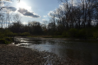 Sunlit river flowing through bare trees in early spring