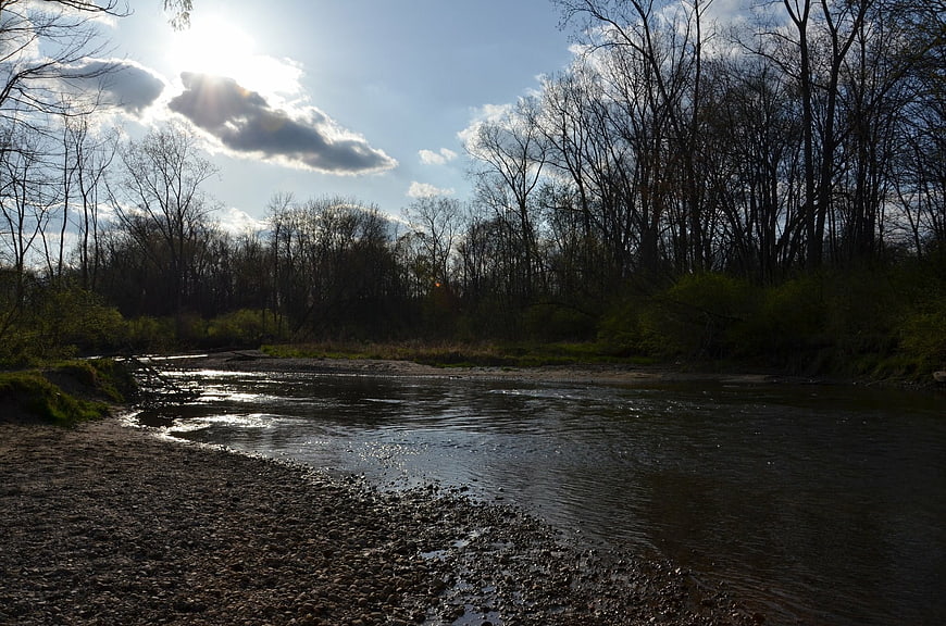 Sunlit river flowing through bare trees in early spring