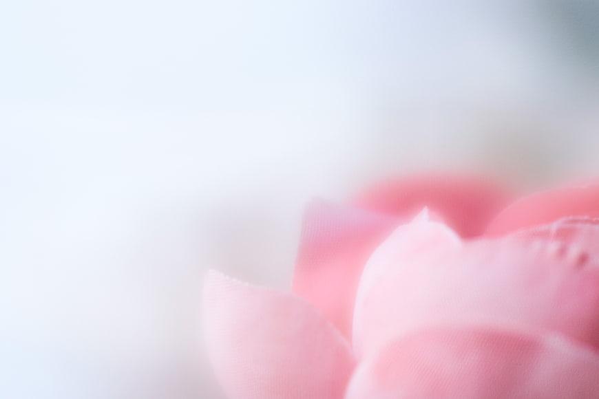 Soft Focus Pink Flower Petals Abstract Background