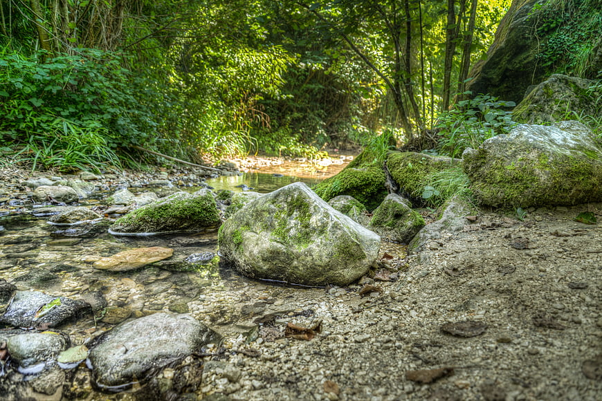 Mossy Rocks in a Clear Forest Creek Stream