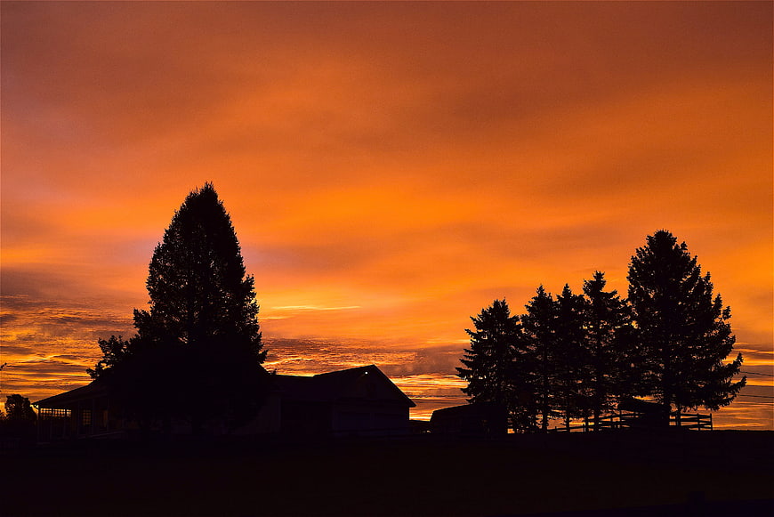 Dramatic orange sunset silhouette of trees and house