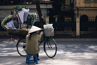 Vietnamese woman selling flowers on bicycle street