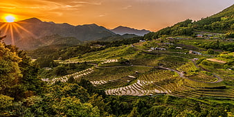 Sunset over Maruyama Senmaida Rice Terraces in Japan