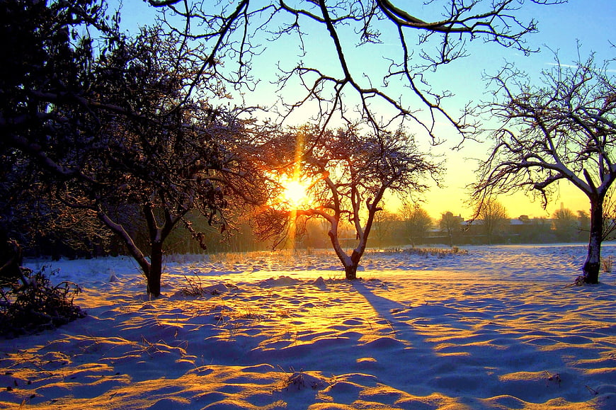 Golden sunset over snowy winter landscape with bare trees