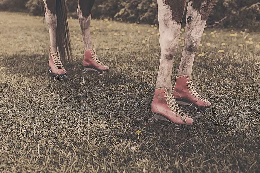 Horse wearing pink roller skates standing on grass