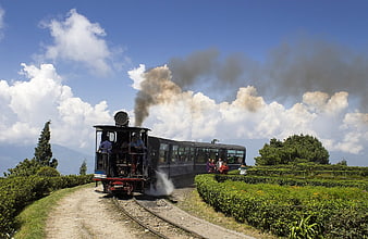 Vintage steam toy train traveling through lush tea gardens in Darjeeling