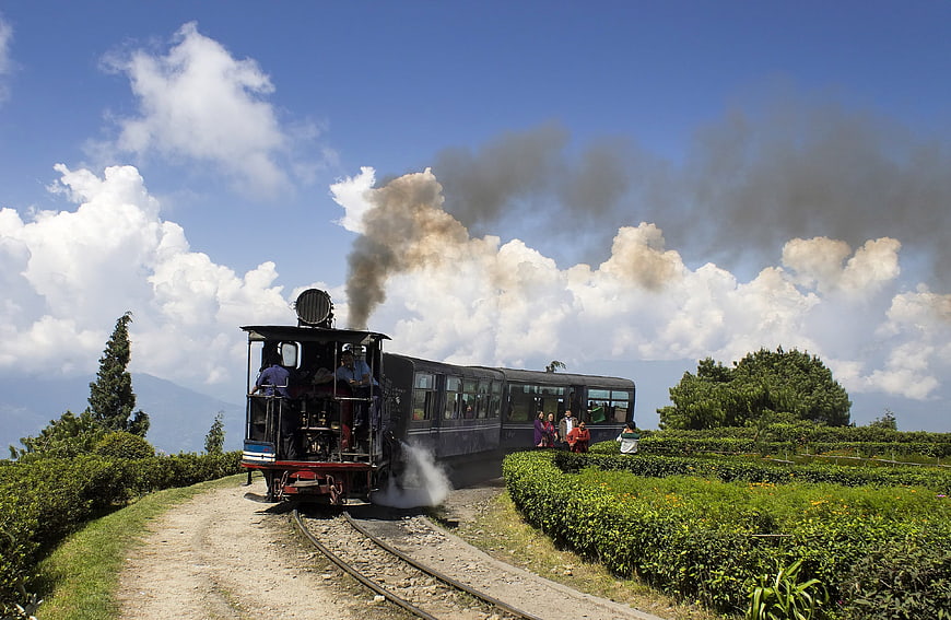 Vintage steam toy train traveling through lush tea gardens in Darjeeling