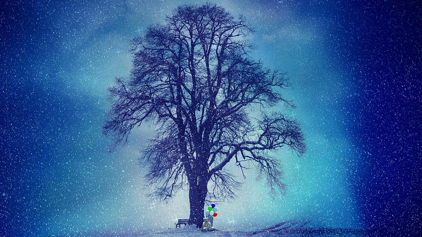 Lonely teddy bear with balloons under snowy tree