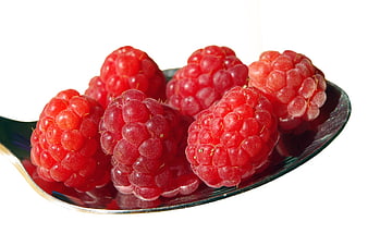 Fresh Red Raspberries on a Silver Spoon Isolated on White
