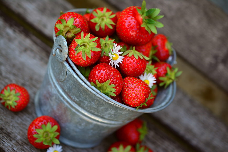 Fresh Red Strawberries in Galvanized Metal Bucket