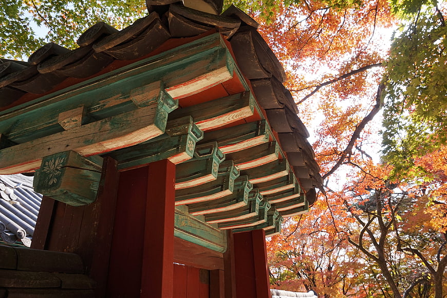 Traditional Korean Temple Roof with Autumn Foliage