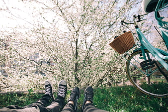 Couple relaxing under cherry blossoms with bicycle