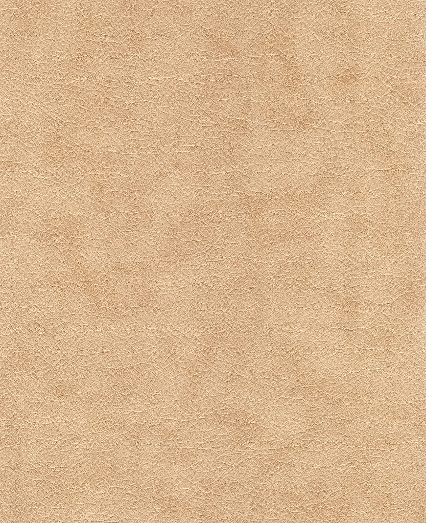 Close-up of beige leather texture background