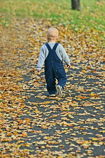 Toddler walking away on a path covered in autumn leaves