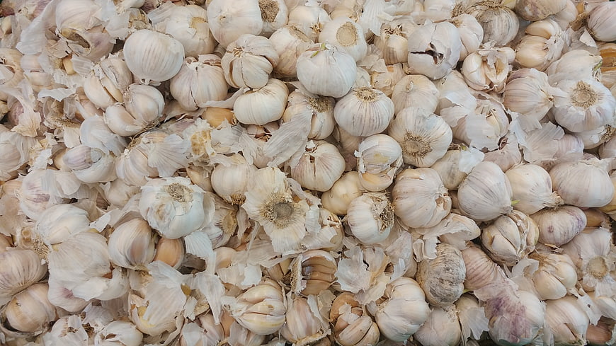 Top View of Fresh Garlic Bulbs and Peels