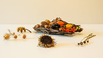 Autumn Still Life With Dried Fruits, Berries, And Sunflower On Driftwood