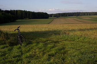 Mountain bike parked in grassy field with forest background
