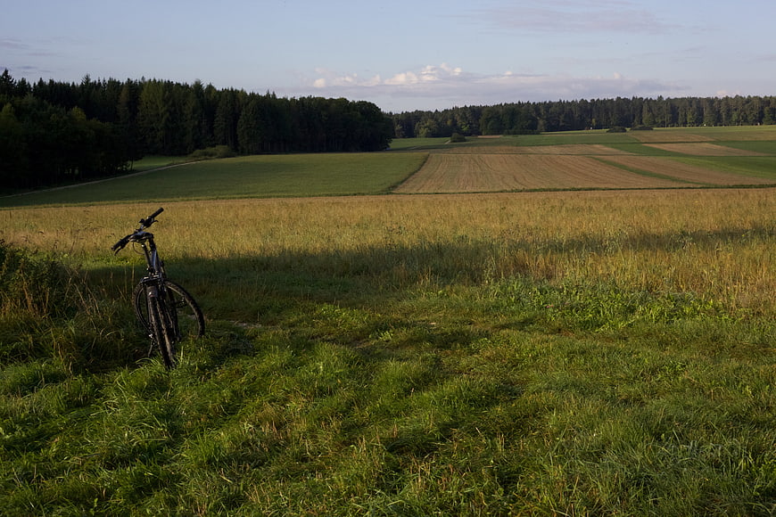 Mountain bike parked in grassy field with forest background