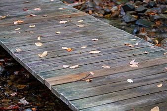 Weathered wooden bridge with autumn leaves over a stream