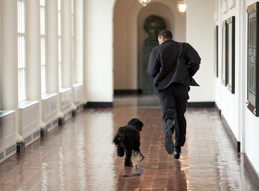 Barack Obama Running with Dog Bo in White House Hallway