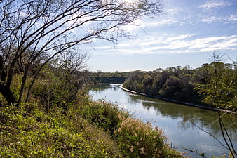 Serene River Landscape with Bare Trees and Blue Sky