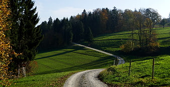 Winding gravel road through green meadow and autumn forest