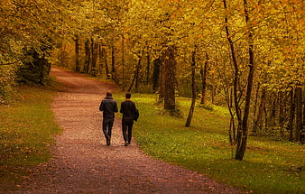 Two Men Walking On A Gravel Path In An Autumn Forest