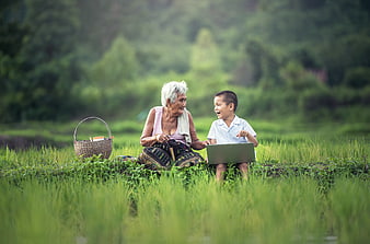 Grandmother and grandson using laptop in rice field