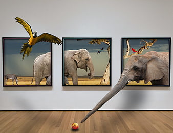 Surreal 3D Elephant and Macaw Art Gallery Mockup