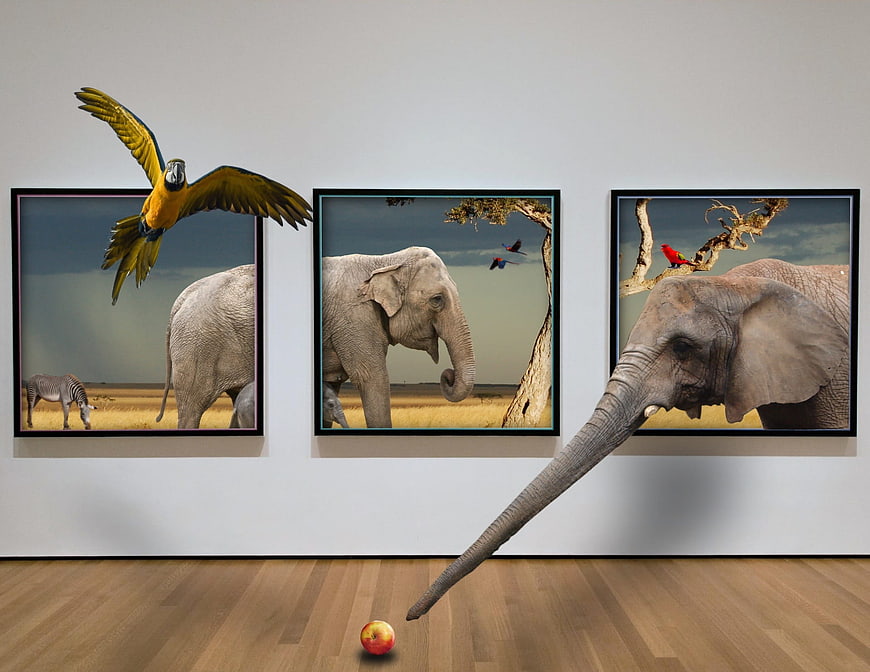 Surreal 3D Elephant and Macaw Art Gallery Mockup