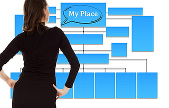 Businesswoman analyzing organization chart with my place text