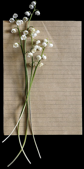 Lily of the Valley on Vintage Lined Paper