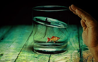 Surreal goldfish in glass with miniature fisherman silhouette