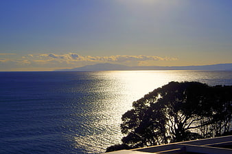 Sunset Ocean View with Silhouette Tree and Distant Mountains