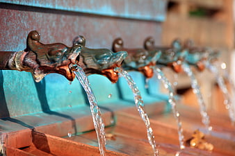 Close-up of ornate dragon-head water fountain spouts