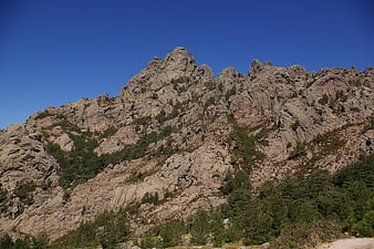 Rugged mountain peak with pine trees under clear blue sky
