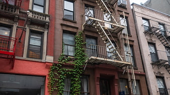 Urban Architecture with Fire Escapes and Ivy
