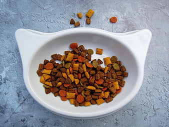 Top View of Dry Cat Food in White Cat-Shaped Bowl