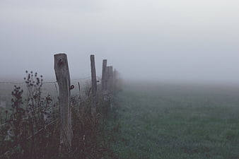 Foggy rural landscape with wooden fence line in misty field