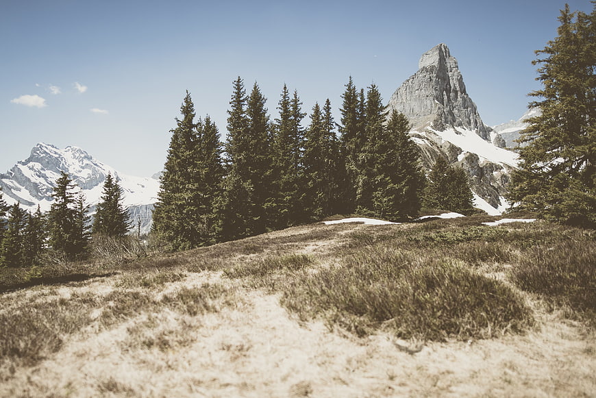 Matterhorn Mountain Peak with Pine Trees and Alpine Meadow