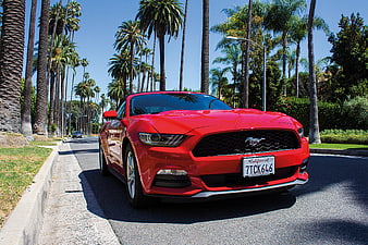 Red Ford Mustang Convertible Parked On Palm Tree Lined Street