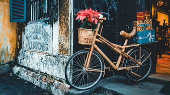 Bamboo Bicycle with Poinsettia and Gifts on Street