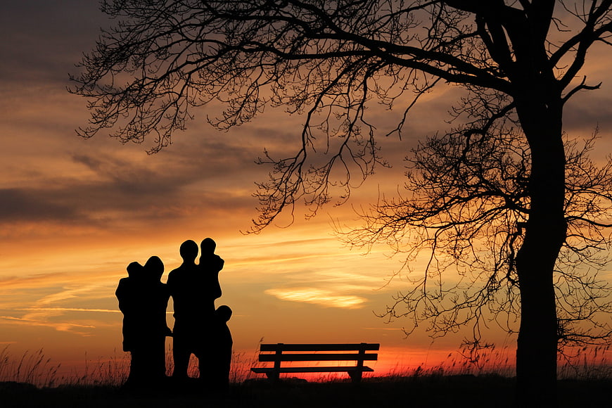 Silhouette of Family Group Standing Under Tree at Sunset