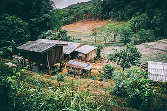 Rustic wooden stilt houses in lush rural hillside village