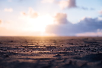 Blurred Sunset Horizon Over Sandy Beach Shore