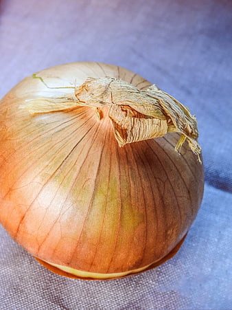 Close-up of a fresh yellow onion on a textured cloth background