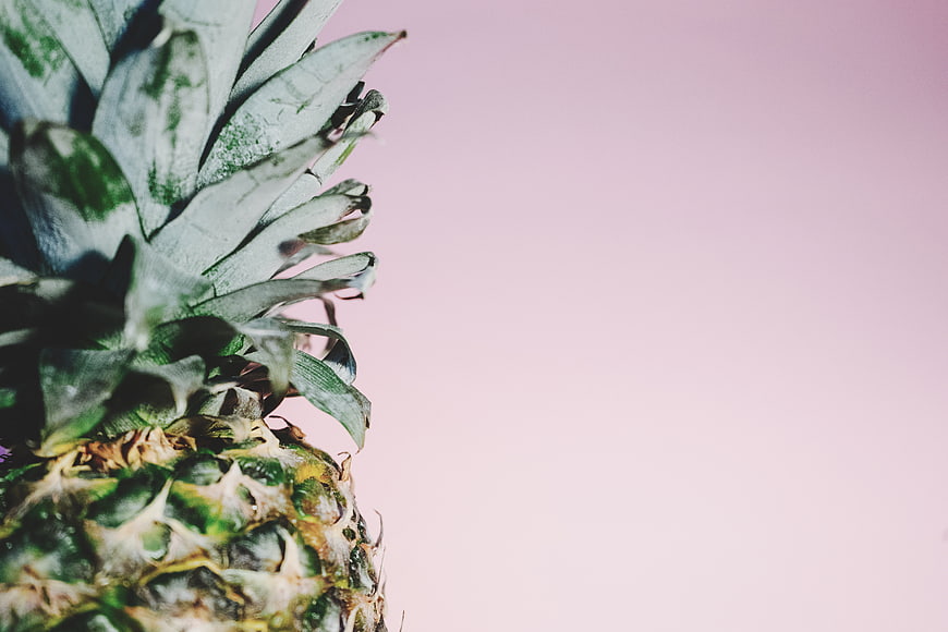 Close-up of pineapple top on pastel pink background