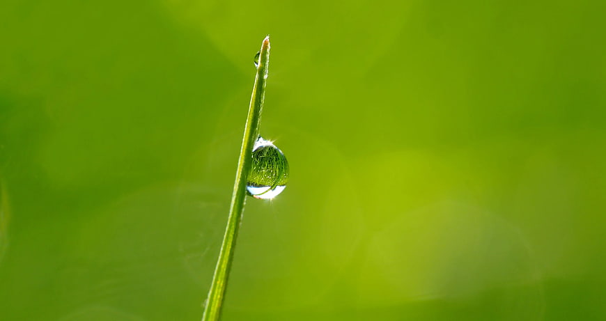 Macro water droplet on green grass blade with bokeh background