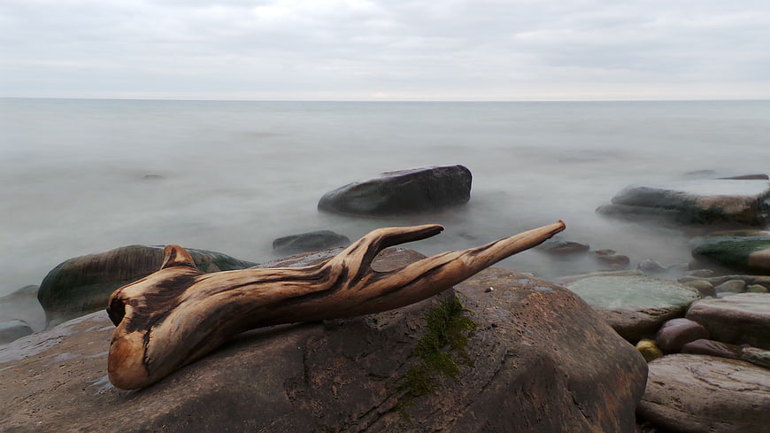 Driftwood on rocky coast with long exposure ocean background